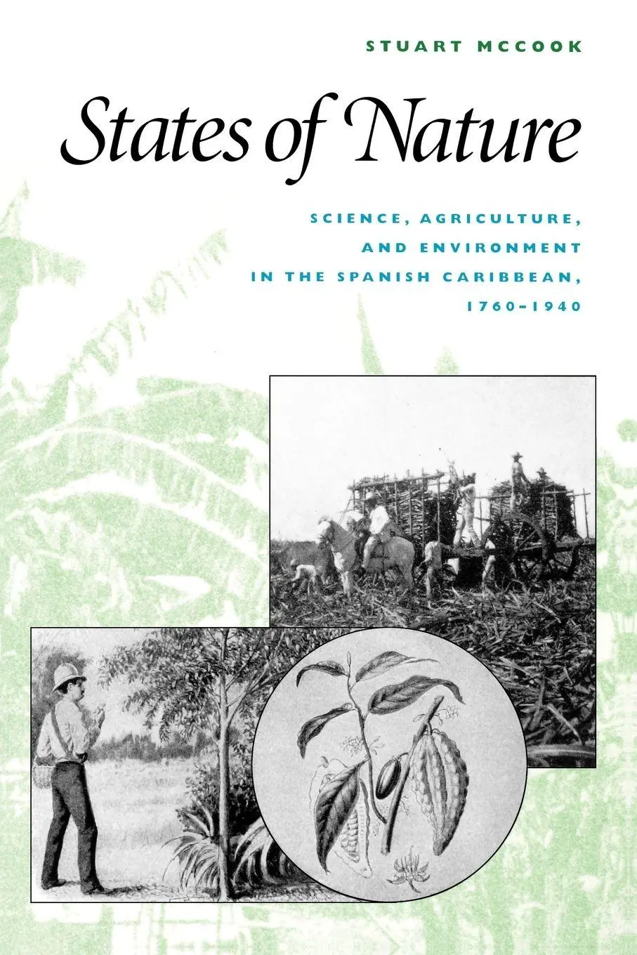 Cover: 9780292752573 | States of Nature | Stuart George McCook | Taschenbuch | Englisch