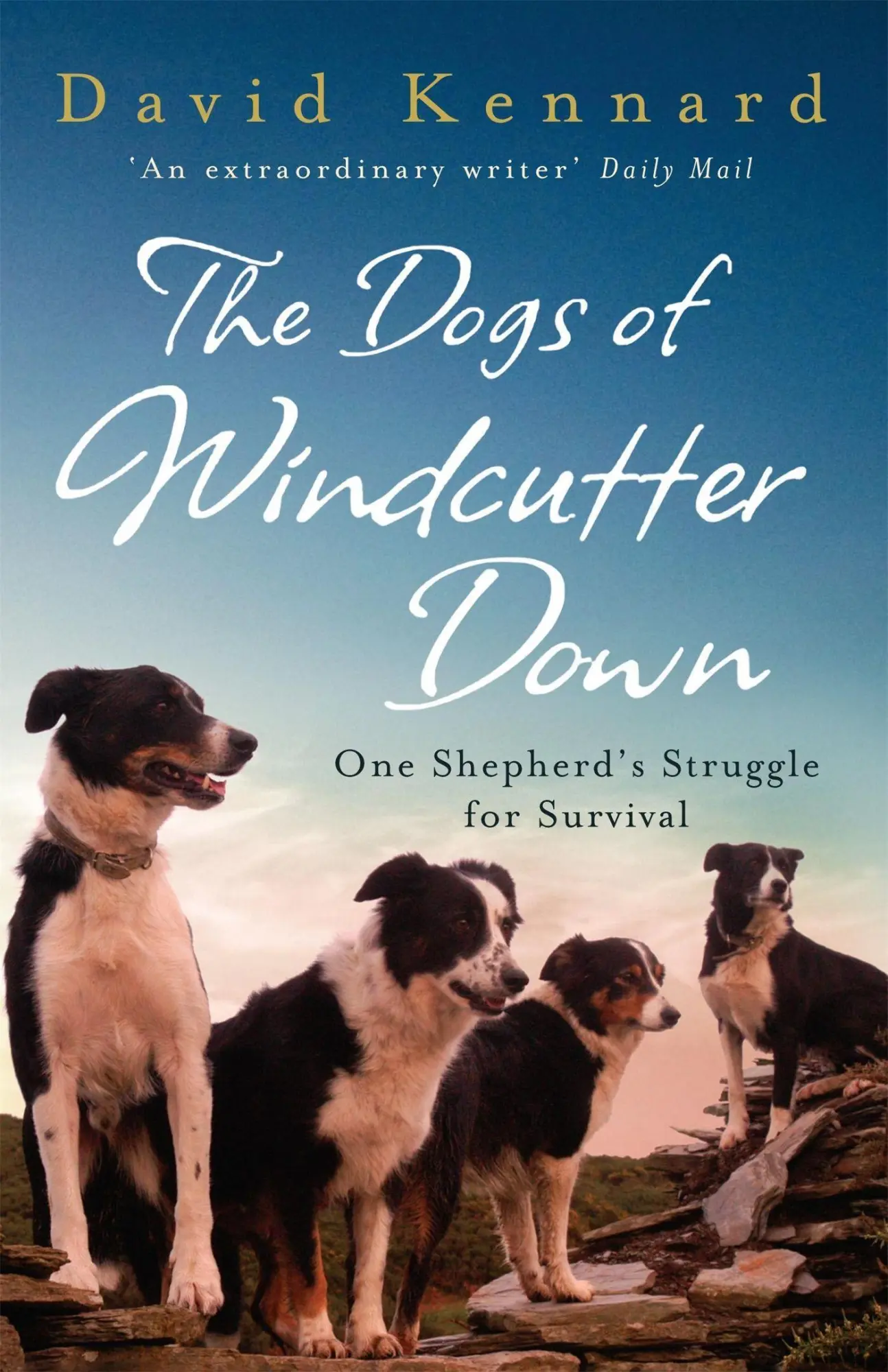 Cover: 9780755312573 | The Dogs of Windcutter Down | David Kennard | Taschenbuch | Englisch