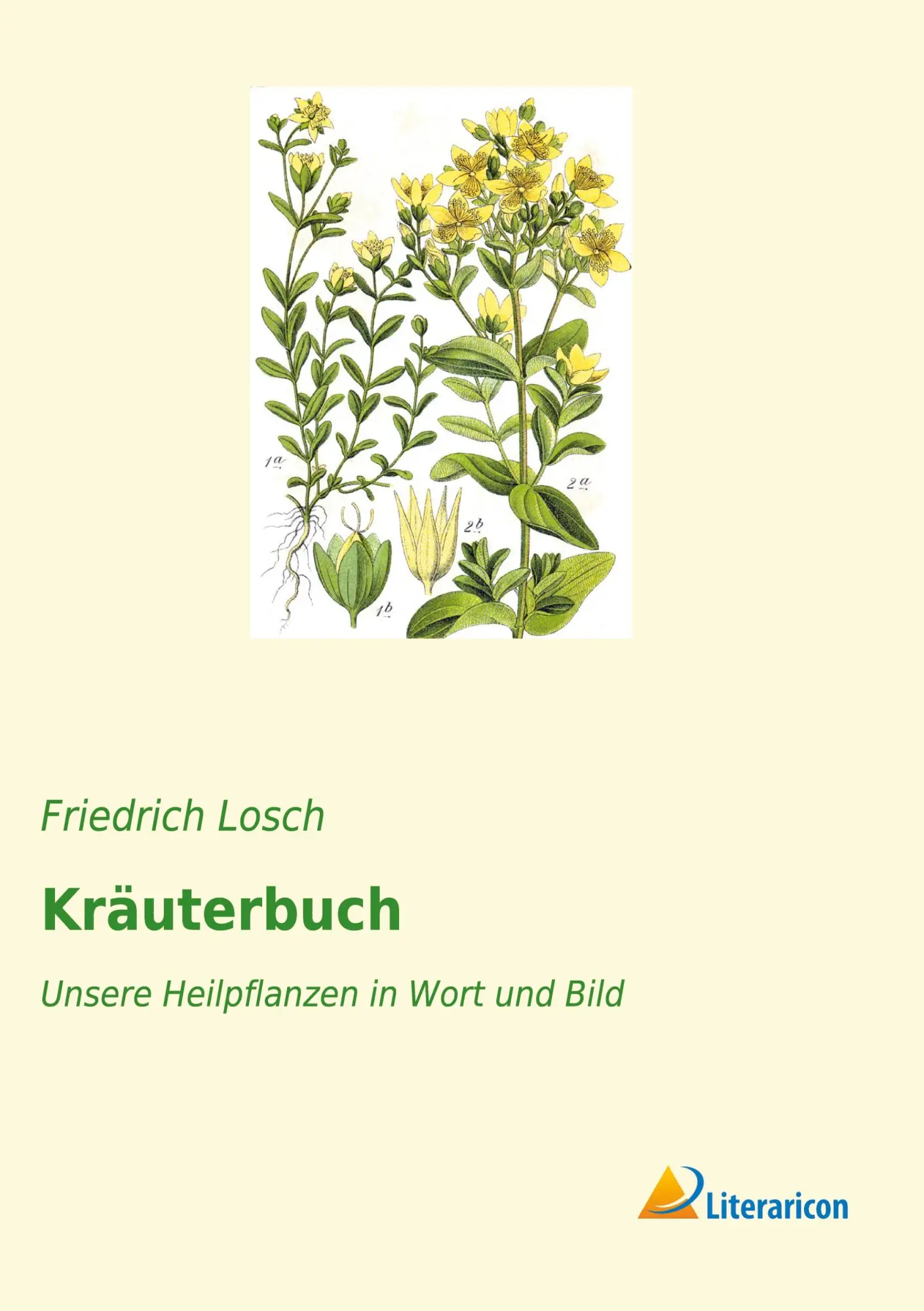 Cover: 9783965062573 | Kräuterbuch | Unsere Heilpflanzen in Wort und Bild | Friedrich Losch