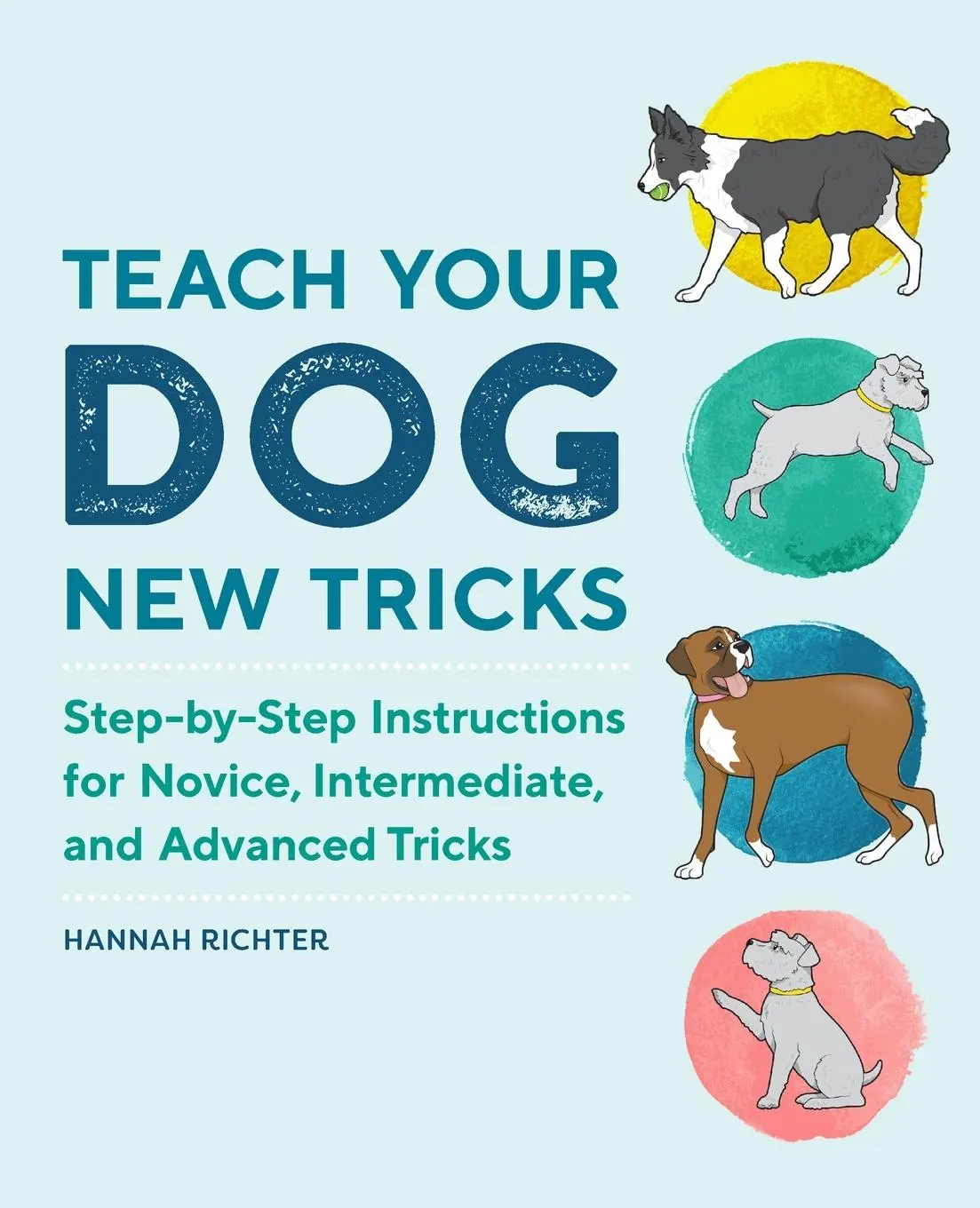 Cover: 9781647392673 | Teach Your Dog New Tricks | Hannah Richter | Taschenbuch | Englisch