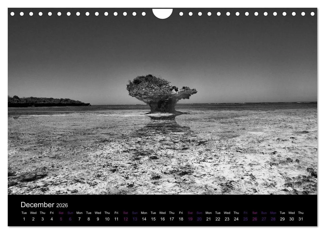 Bild: 9783516582673 | East Africa - Tanzania and Kenya / UK-Version (Wall Calendar 2026...