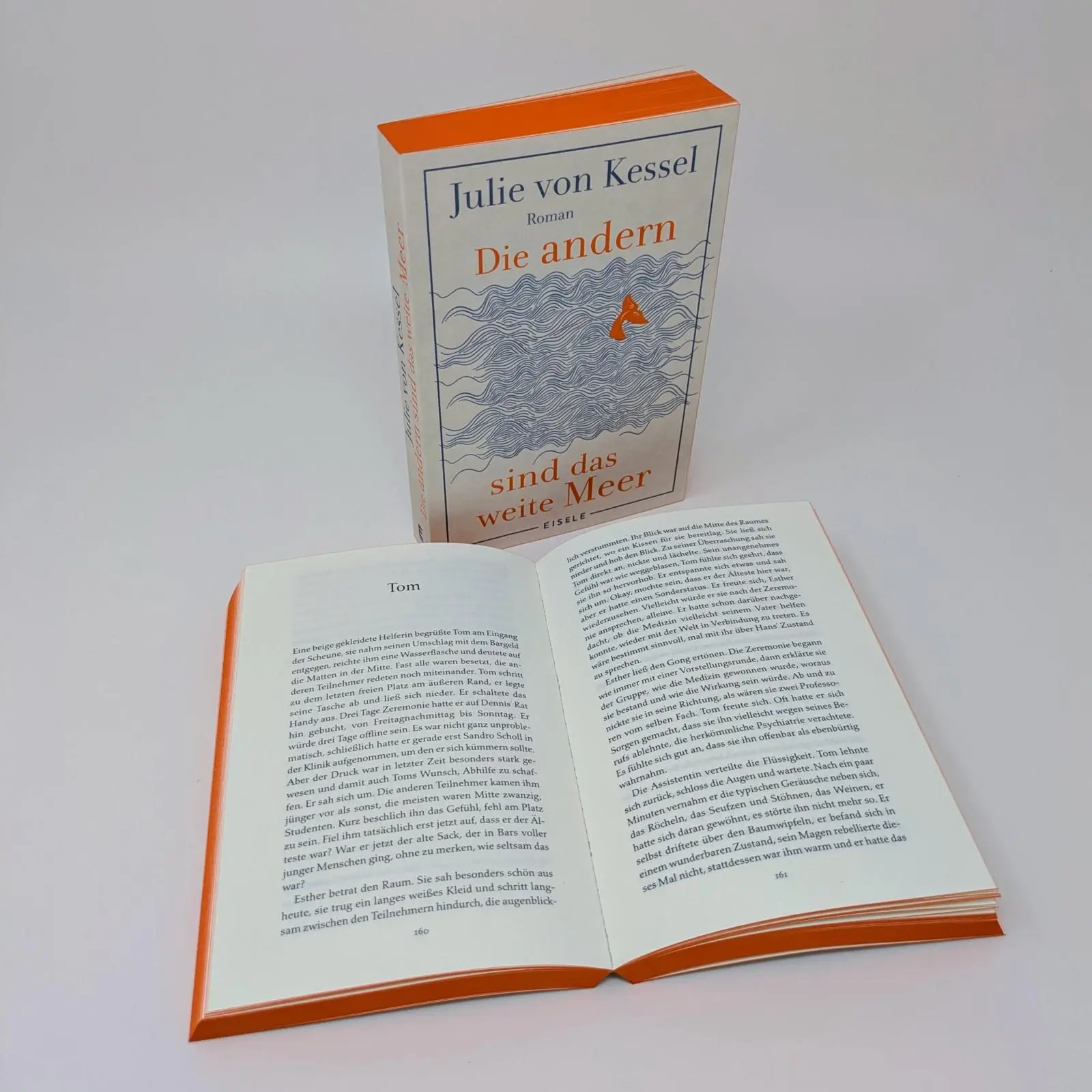 Bild: 9783961612673 | Die andern sind das weite Meer | Julie von Kessel | Taschenbuch | 2025