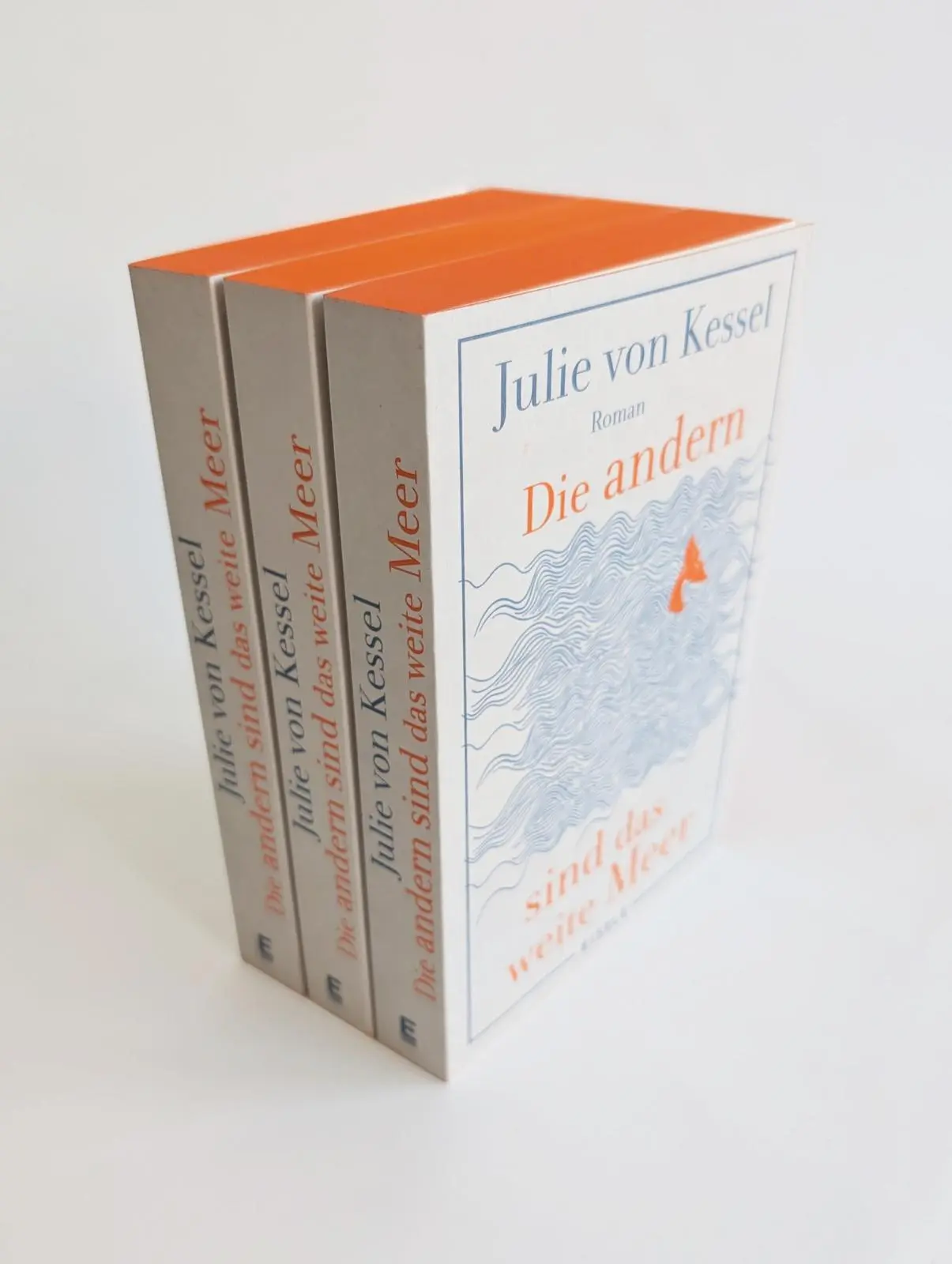 Bild: 9783961612673 | Die andern sind das weite Meer | Julie von Kessel | Taschenbuch | 2025