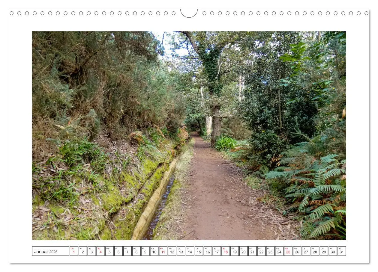 Bild: 9783457482773 | Madeira, eine Insel zum Genießen (Wandkalender 2026 DIN A3 quer),...