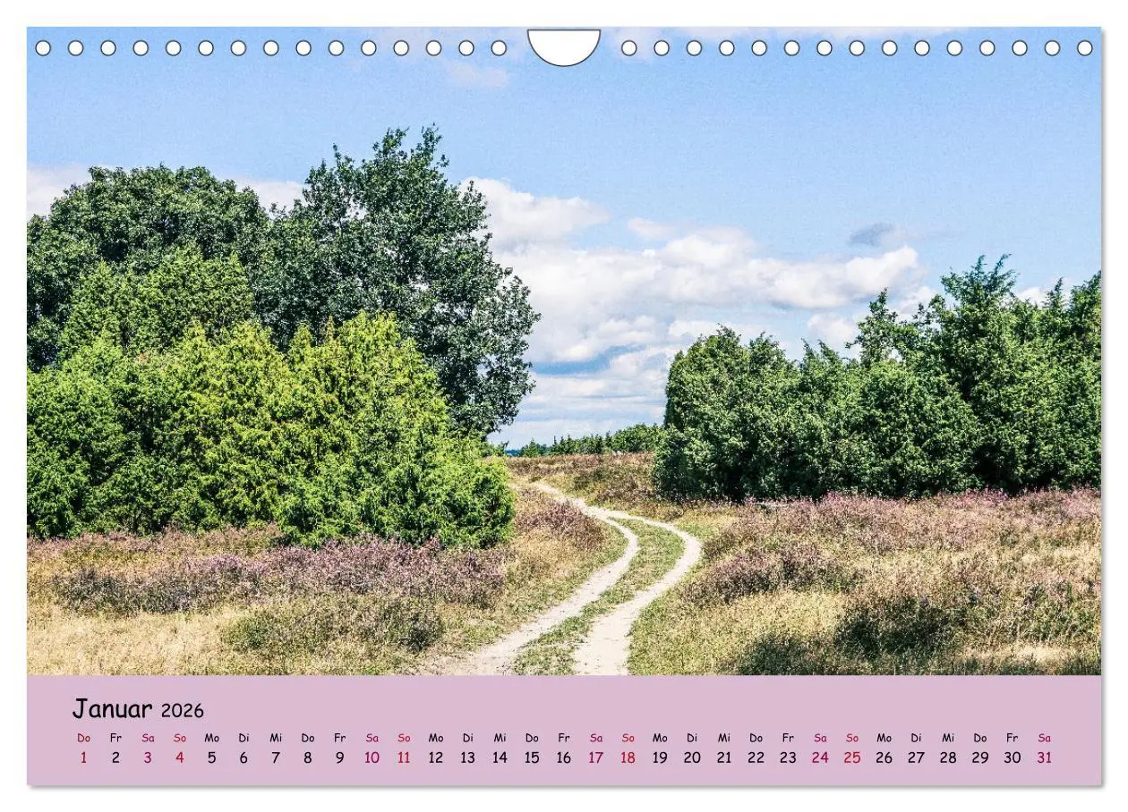 Bild: 9783457622773 | Lüneburger Heide Wege (Wandkalender 2026 DIN A4 quer), CALVENDO...