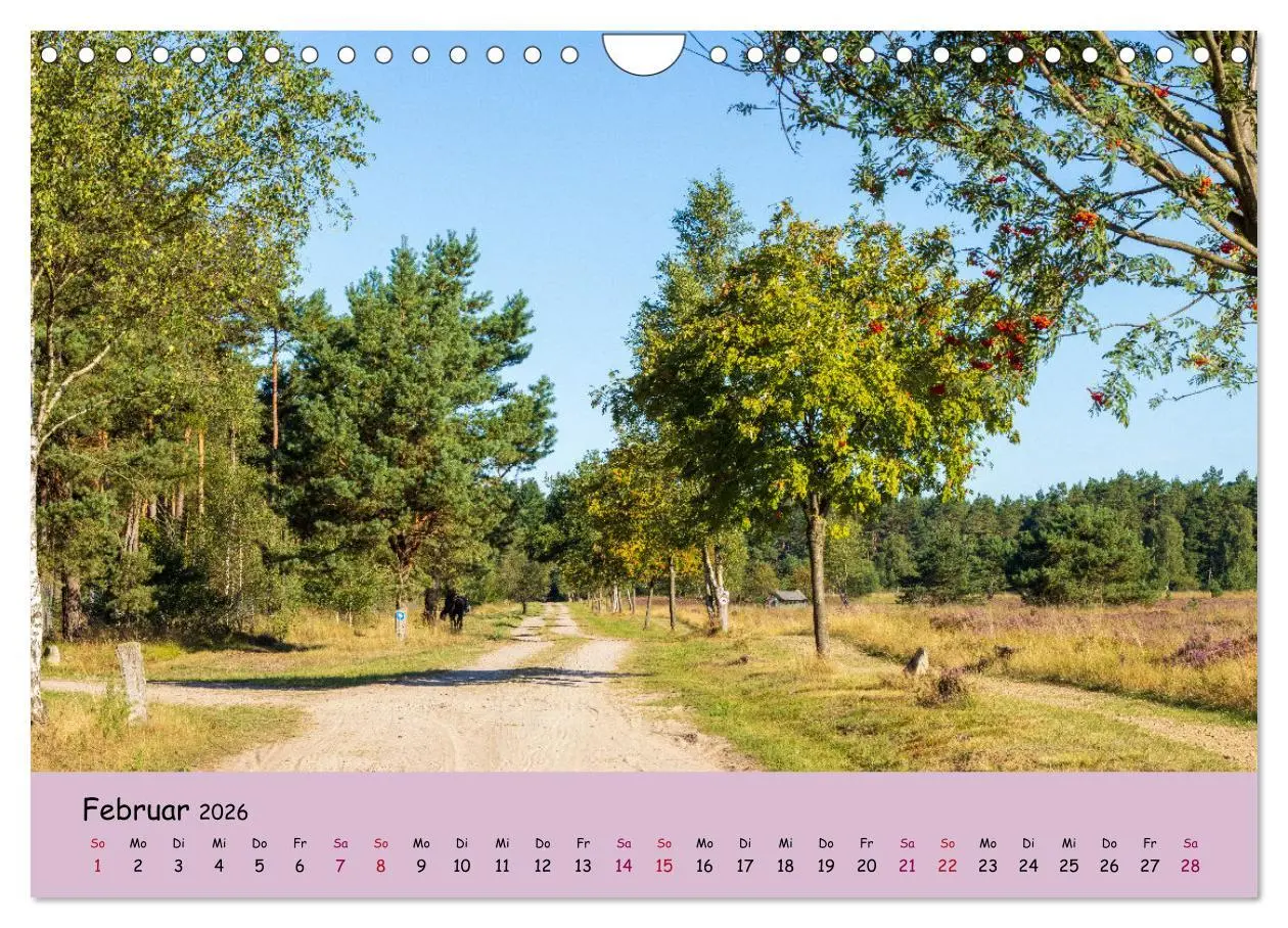 Bild: 9783457622773 | Lüneburger Heide Wege (Wandkalender 2026 DIN A4 quer), CALVENDO...