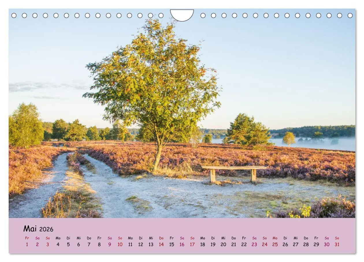 Bild: 9783457622773 | Lüneburger Heide Wege (Wandkalender 2026 DIN A4 quer), CALVENDO...
