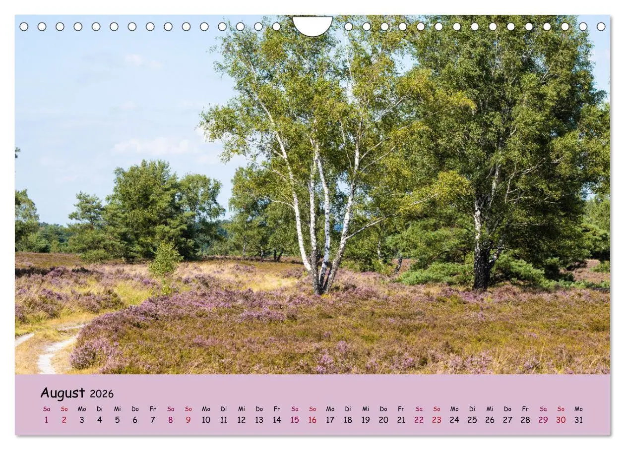 Bild: 9783457622773 | Lüneburger Heide Wege (Wandkalender 2026 DIN A4 quer), CALVENDO...