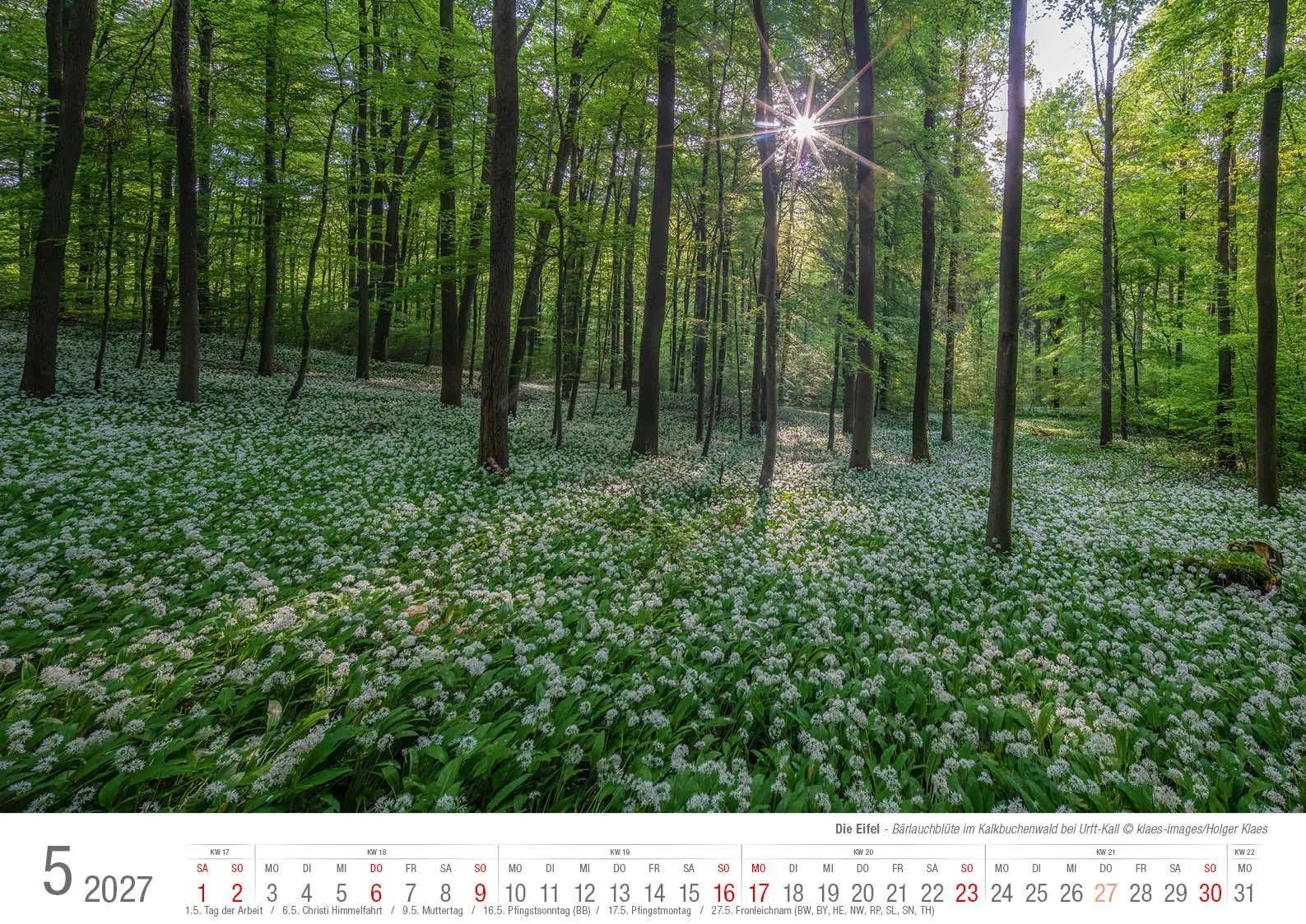 Bild: 9783965352773 | Eifel 2027 Bildkalender A3 Spiralbindung | Holger Klaes | Kalender