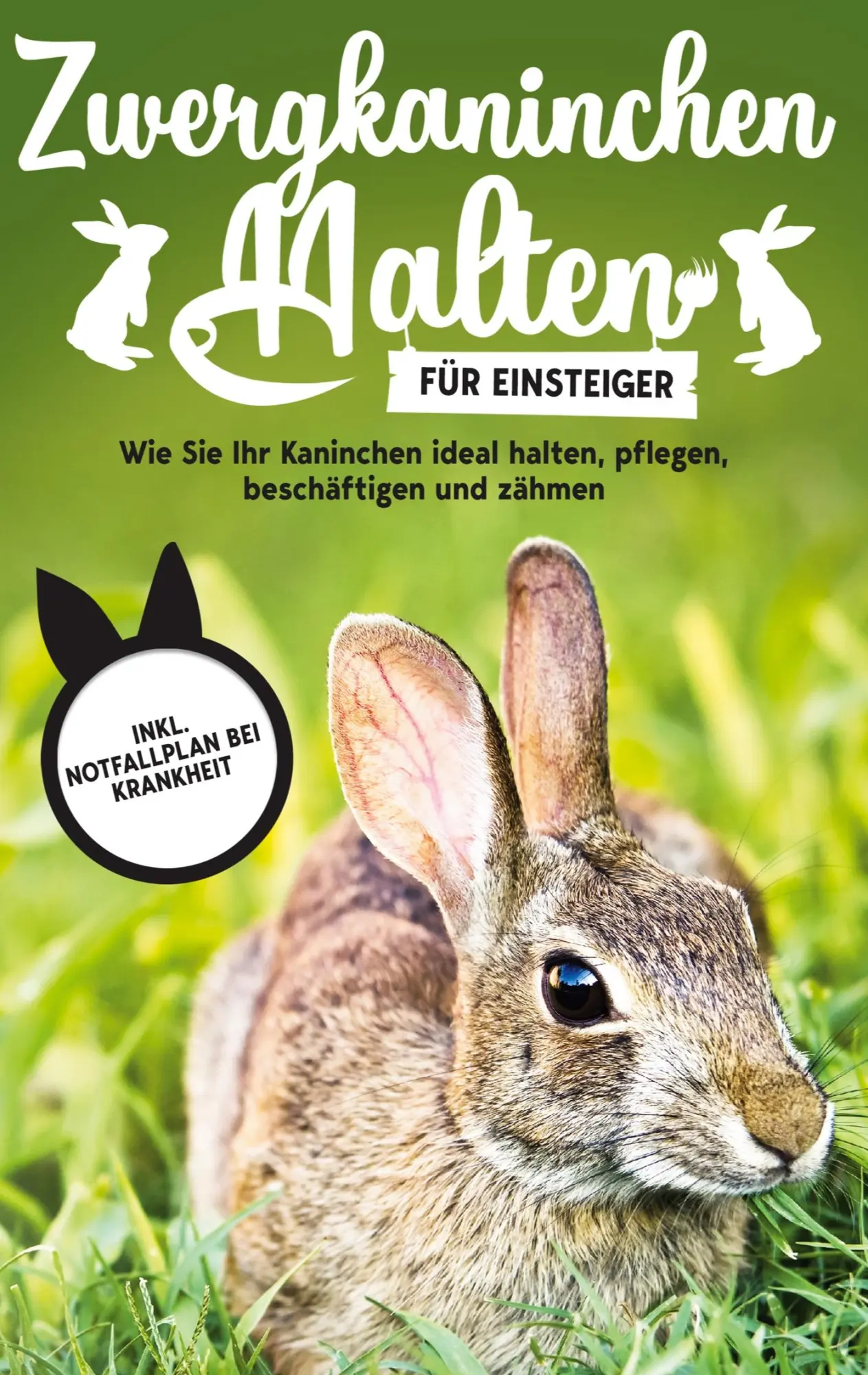 Cover: 9783753482873 | Zwergkaninchen halten für Einsteiger: Wie Sie Ihr Kaninchen ideal...