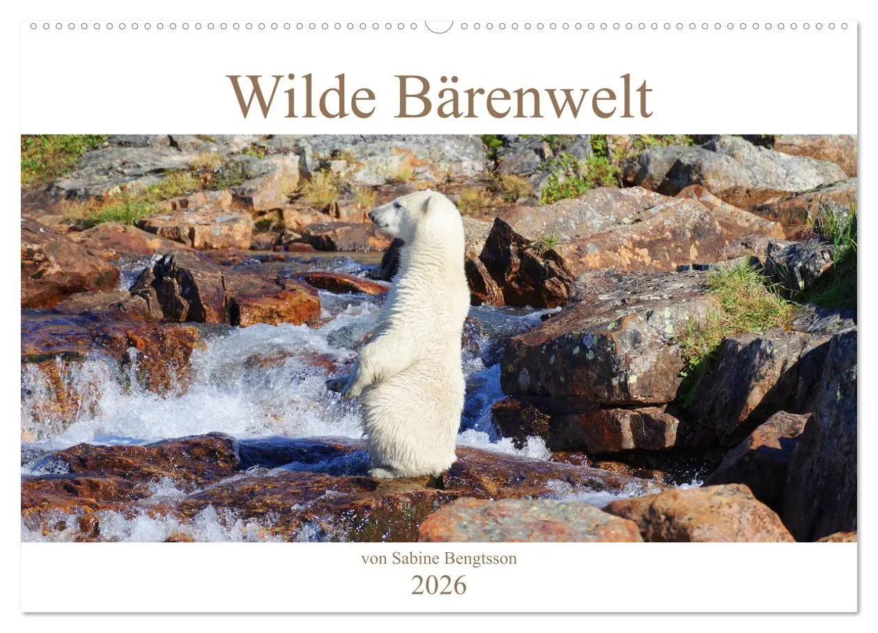 Cover: 9783457602973 | Wilde Bärenwelt (Wandkalender 2026 DIN A2 quer), CALVENDO...