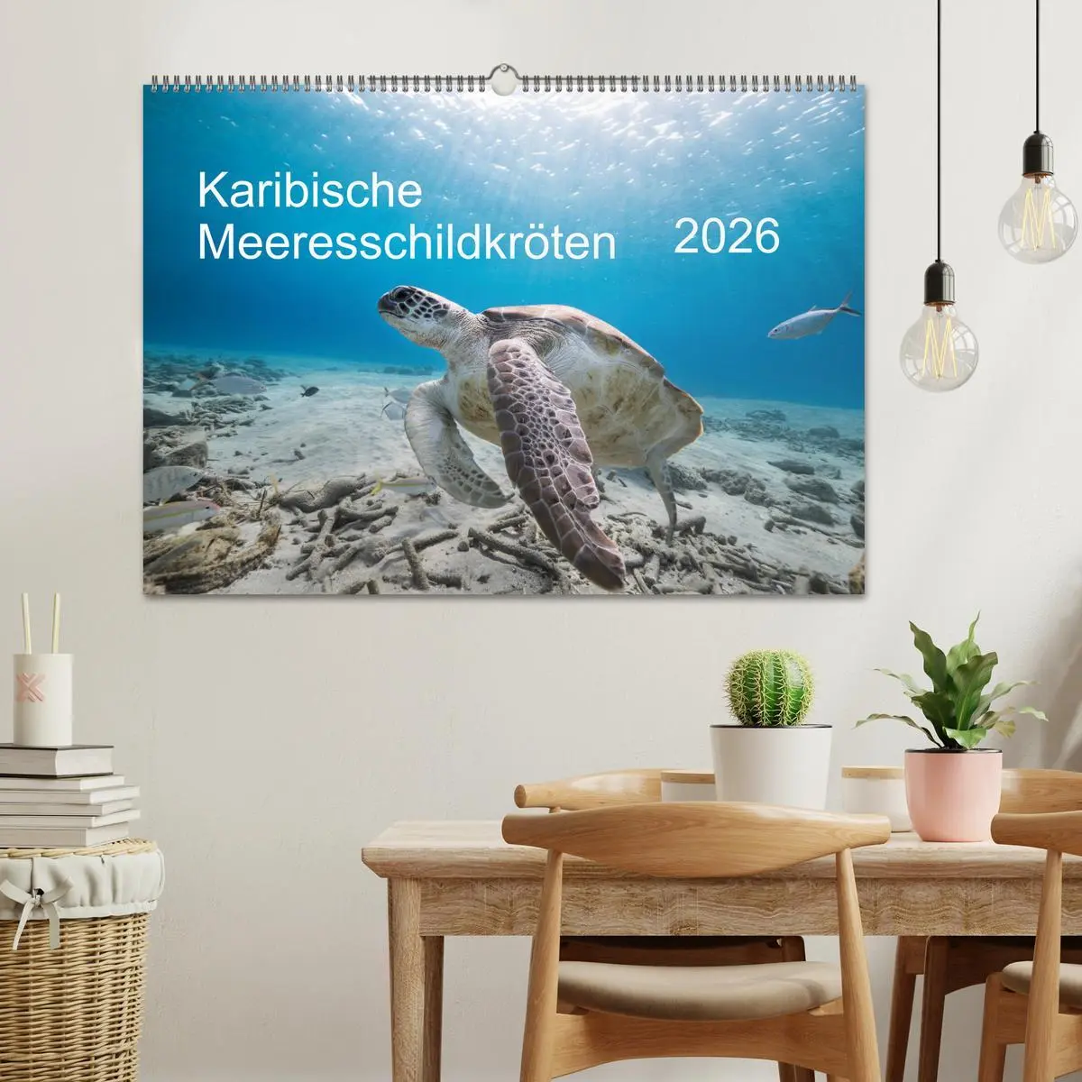 Bild: 9783457842973 | Karibische Meeresschildkröten (Wandkalender 2026 DIN A2 quer),...