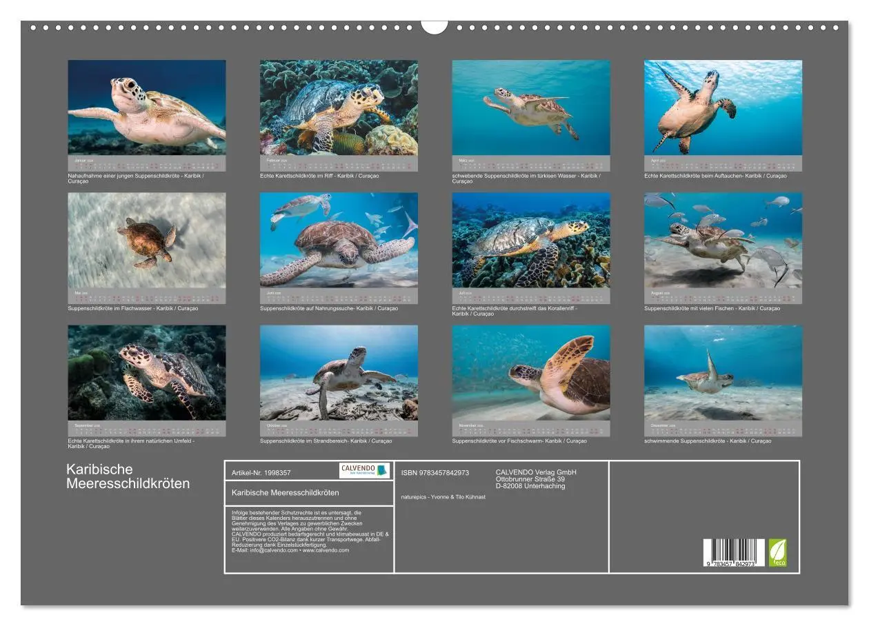 Bild: 9783457842973 | Karibische Meeresschildkröten (Wandkalender 2026 DIN A2 quer),...