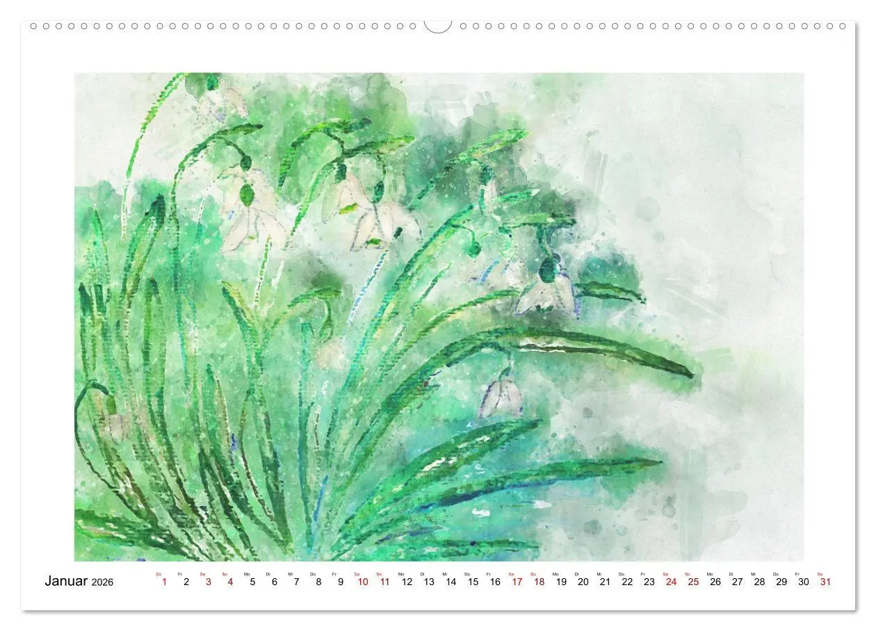 Bild: 9783457593073 | Blüten &amp; Blumen Aquarelle - Farbenfrohe Schönheiten (Wandkalender...