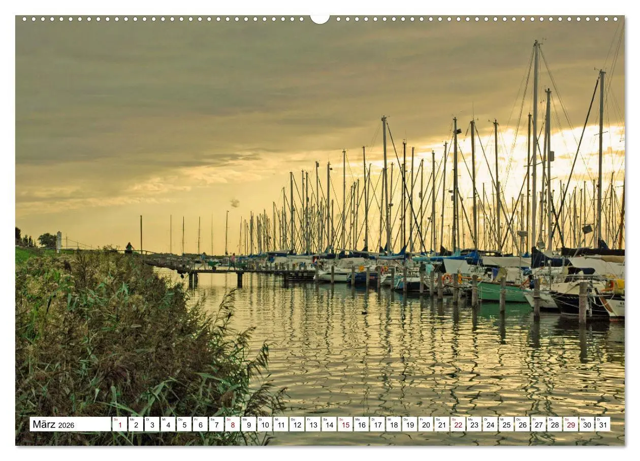 Bild: 9783457733073 | Idylle am Ijsselmeer (Wandkalender 2026 DIN A2 quer), CALVENDO...