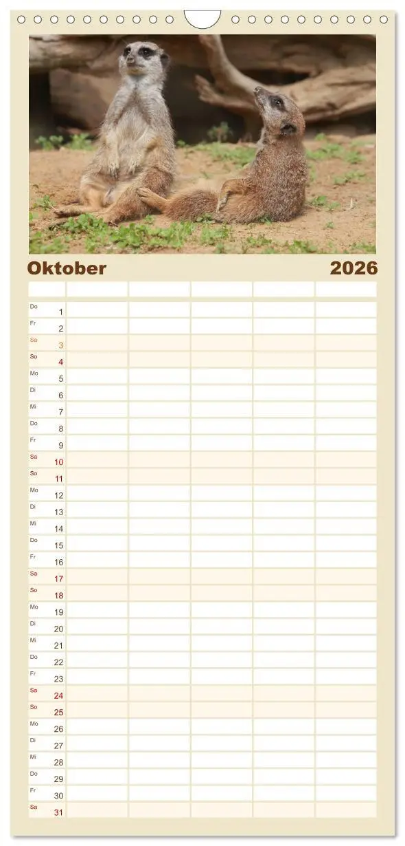 Bild: 9783516513073 | Familienplaner 2026 - Erdmännchen mit 5 Spalten (Wandkalender, 21 x...