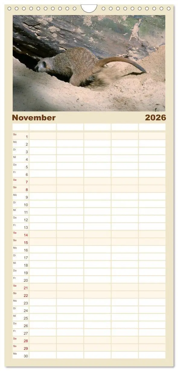 Bild: 9783516513073 | Familienplaner 2026 - Erdmännchen mit 5 Spalten (Wandkalender, 21 x...