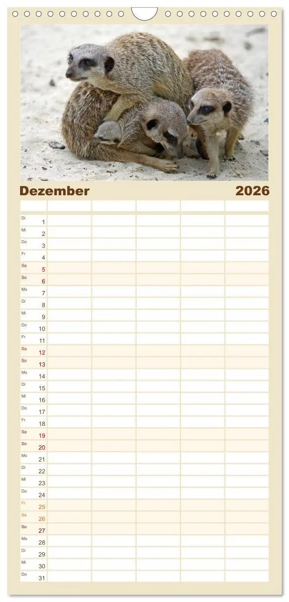 Bild: 9783516513073 | Familienplaner 2026 - Erdmännchen mit 5 Spalten (Wandkalender, 21 x...