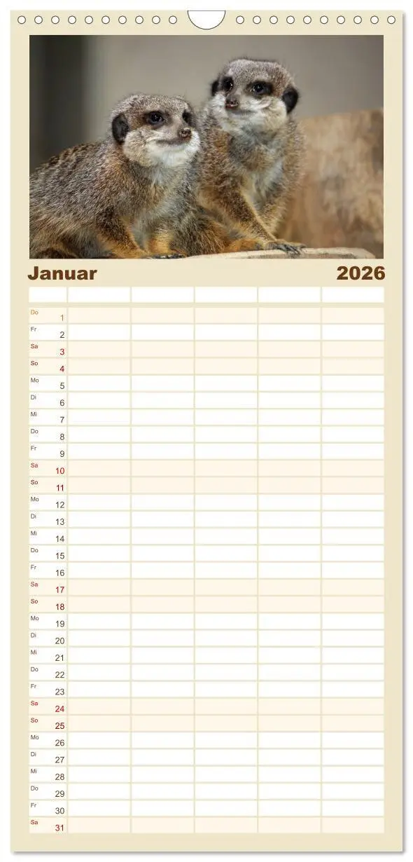 Bild: 9783516513073 | Familienplaner 2026 - Erdmännchen mit 5 Spalten (Wandkalender, 21 x...