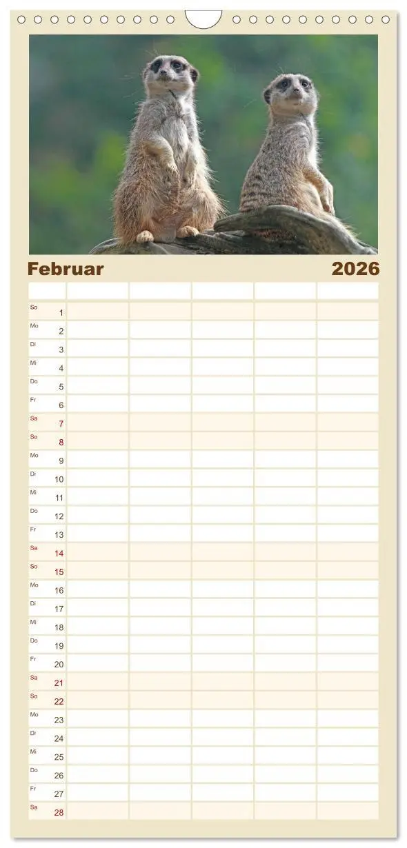 Bild: 9783516513073 | Familienplaner 2026 - Erdmännchen mit 5 Spalten (Wandkalender, 21 x...