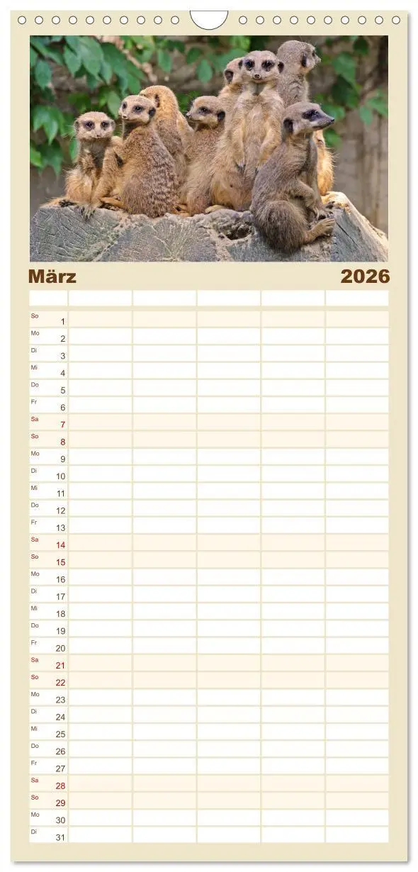 Bild: 9783516513073 | Familienplaner 2026 - Erdmännchen mit 5 Spalten (Wandkalender, 21 x...