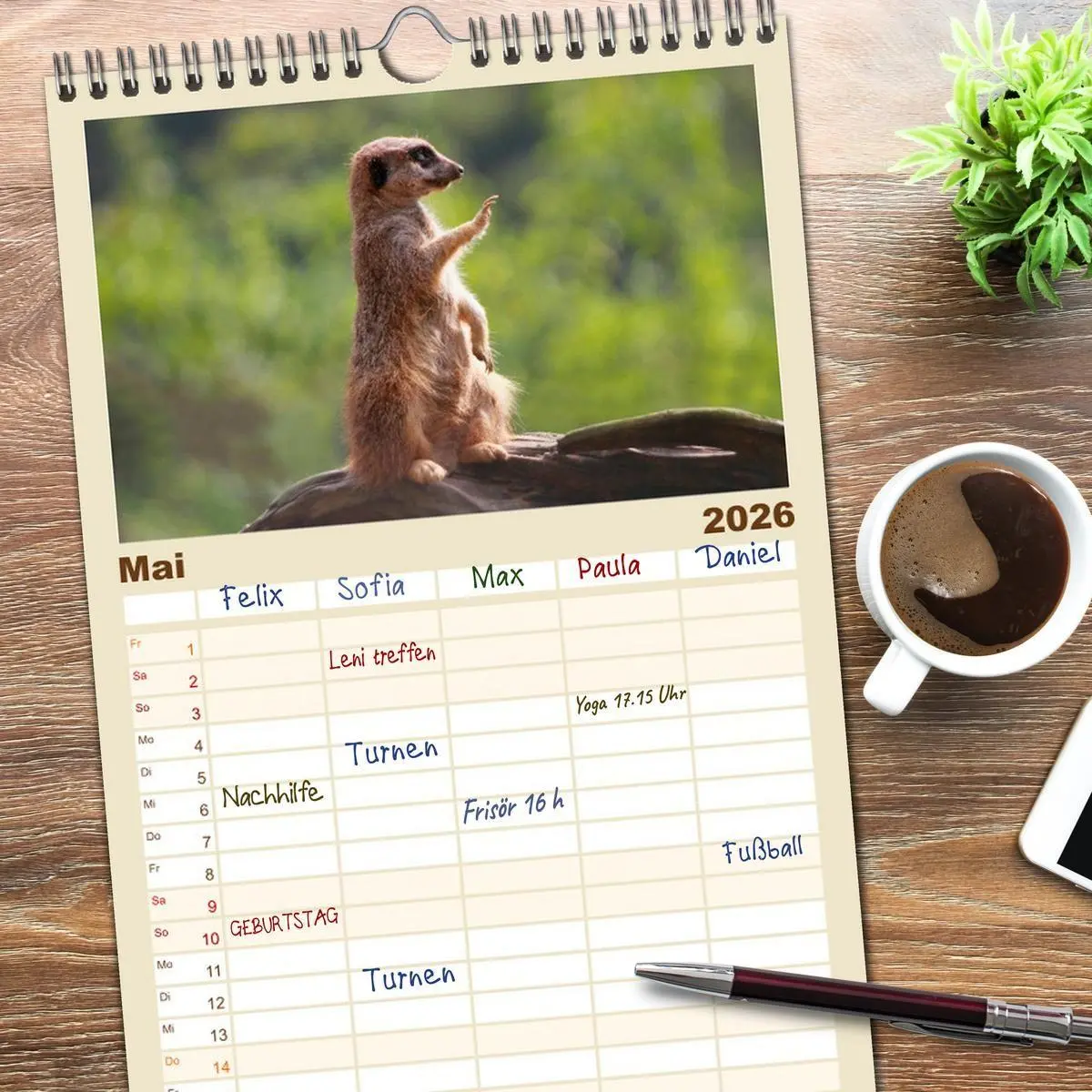 Bild: 9783516513073 | Familienplaner 2026 - Erdmännchen mit 5 Spalten (Wandkalender, 21 x...