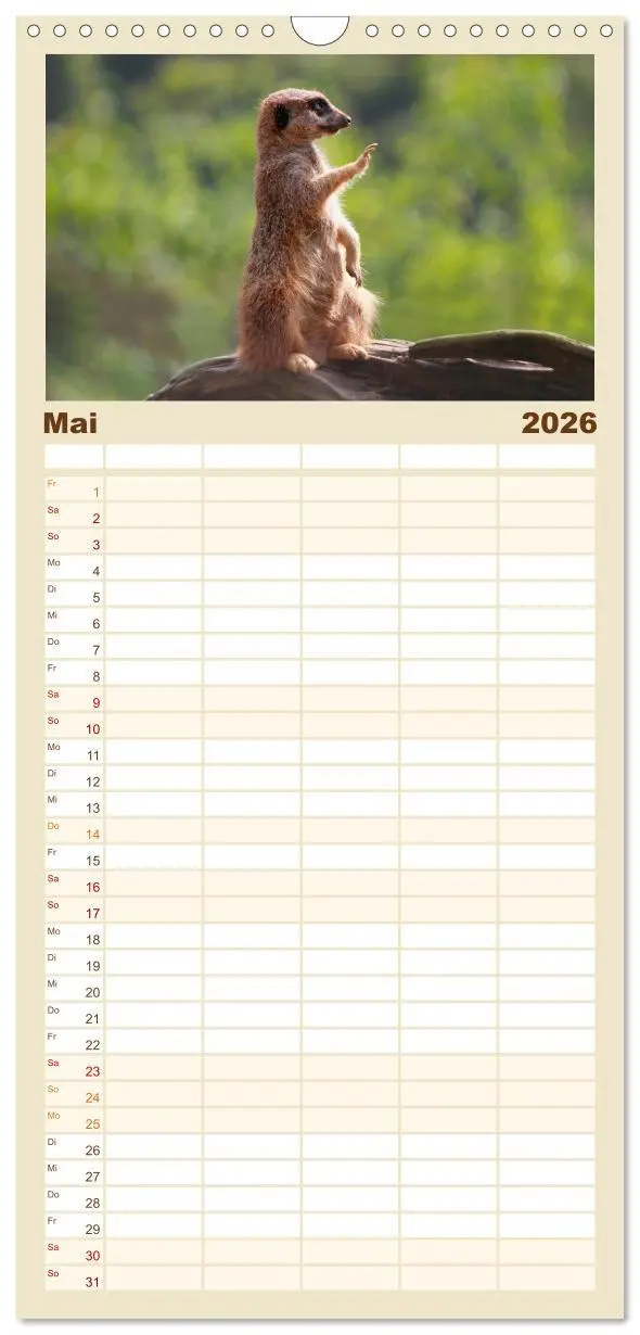 Bild: 9783516513073 | Familienplaner 2026 - Erdmännchen mit 5 Spalten (Wandkalender, 21 x...