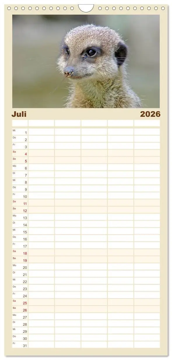 Bild: 9783516513073 | Familienplaner 2026 - Erdmännchen mit 5 Spalten (Wandkalender, 21 x...