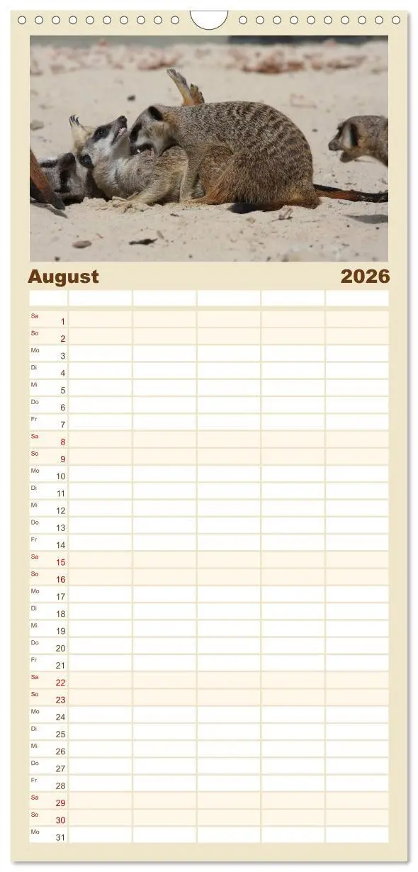 Bild: 9783516513073 | Familienplaner 2026 - Erdmännchen mit 5 Spalten (Wandkalender, 21 x...