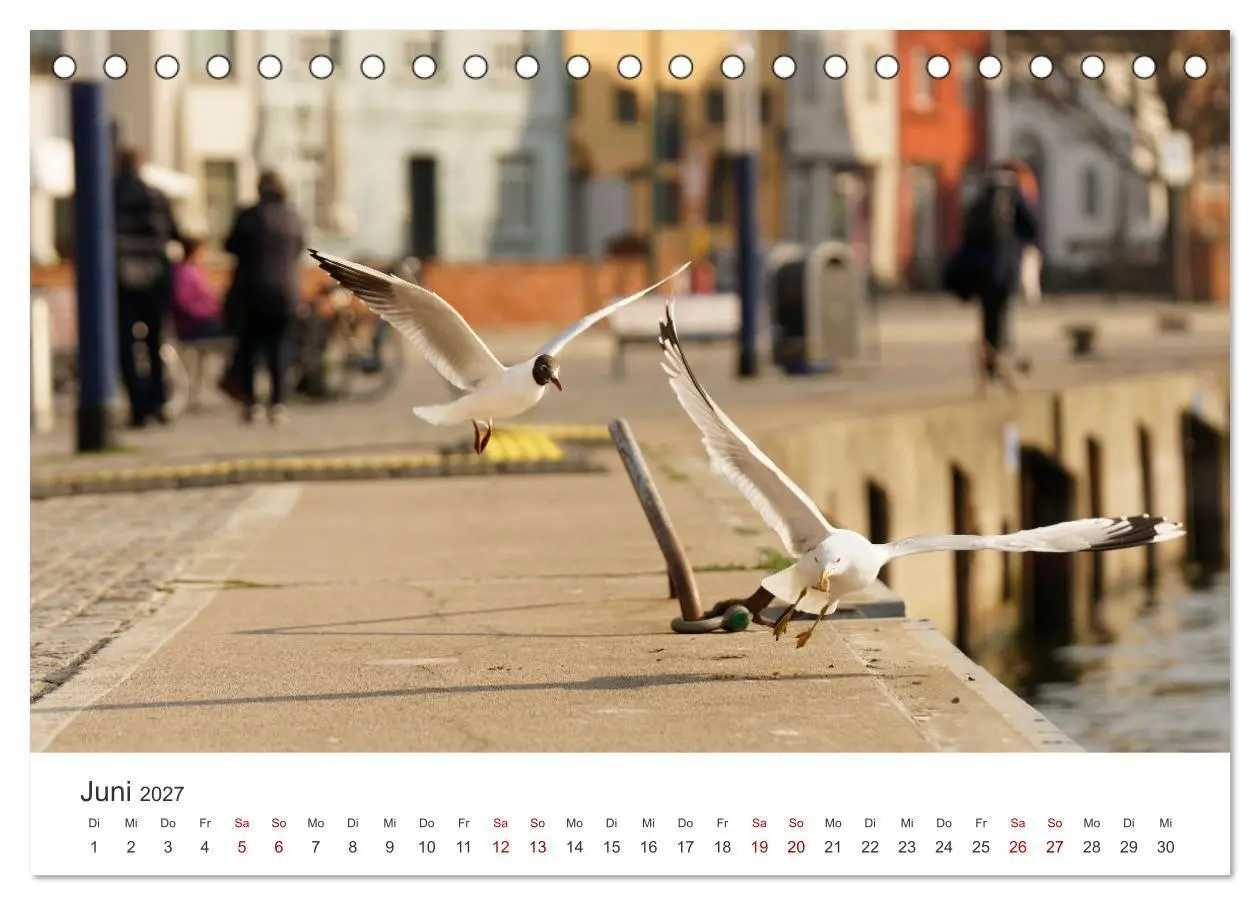 Bild: 9783569393073 | Unser schönes Wismar (Tischkalender 2027 DIN A5 quer), CALVENDO...