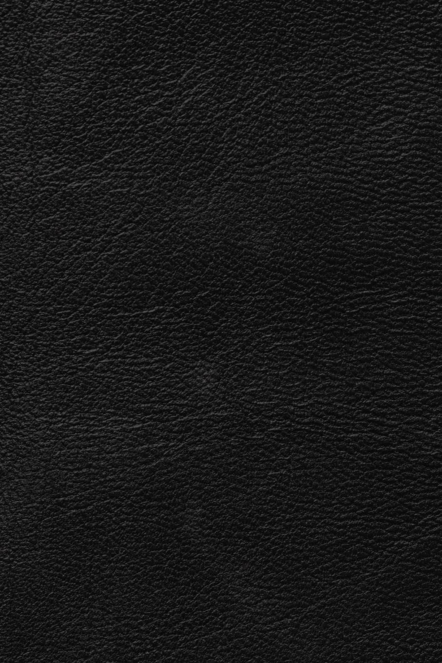Rückseite: 9798985203073 | The Golden Scripts Part I of II | William Dudley Pelley (u. a.) | Buch