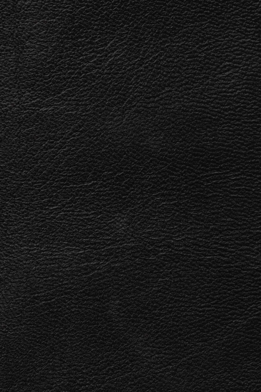 Rückseite: 9798985203073 | The Golden Scripts Part I of II | William Dudley Pelley (u. a.) | Buch