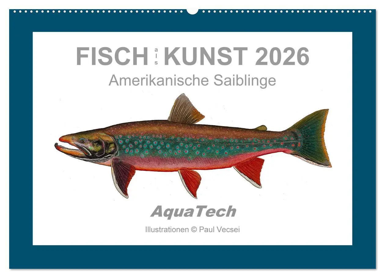 Cover: 9783516503173 | Fisch als Kunst 2026: Amerikanische Saiblinge (Wandkalender 2026...