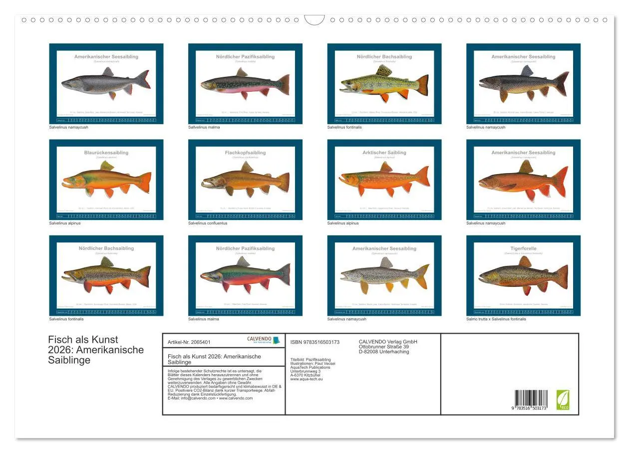 Bild: 9783516503173 | Fisch als Kunst 2026: Amerikanische Saiblinge (Wandkalender 2026...