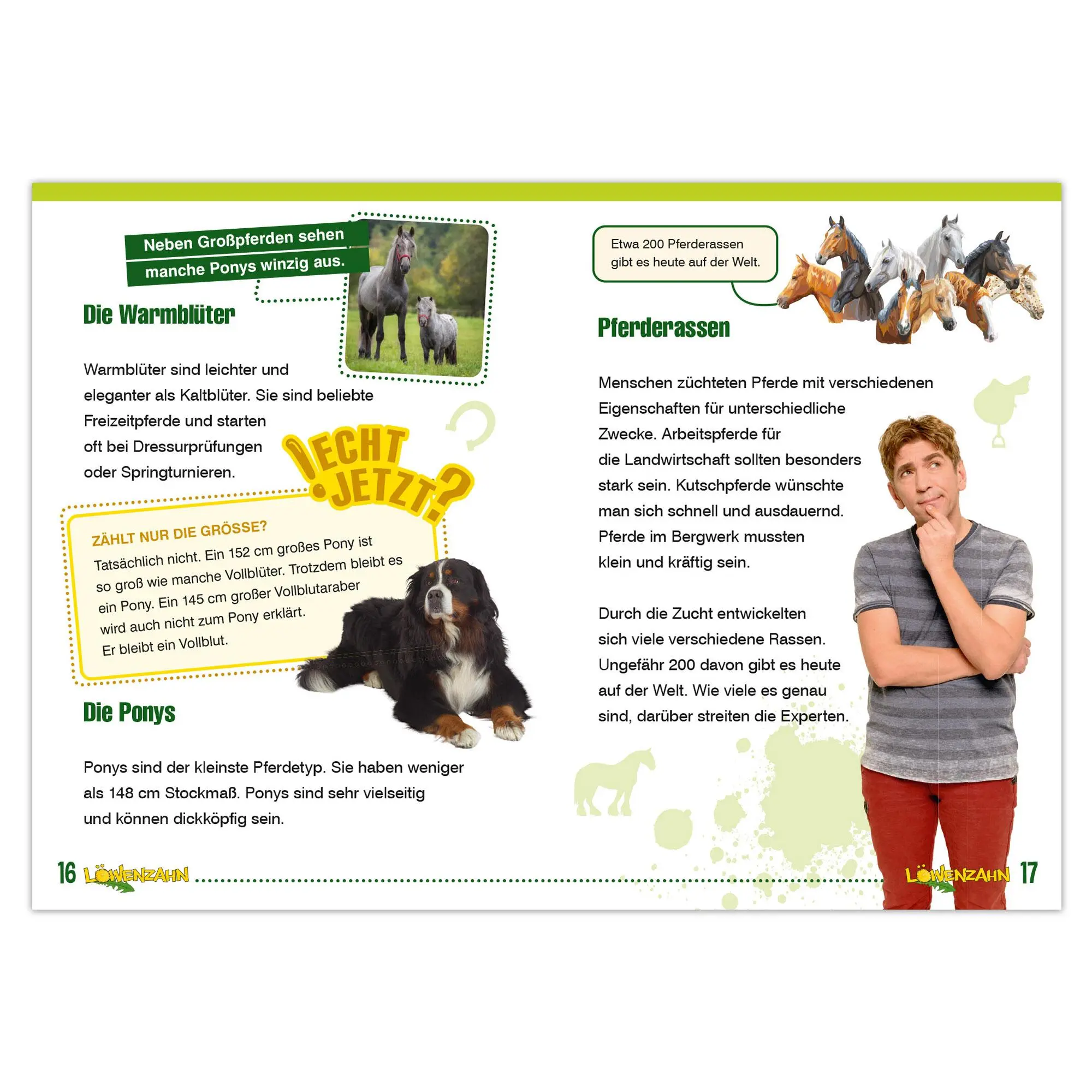 Bild: 9783963473173 | Löwenzahn: Mein Lesestart - Pferde | Julia Breitenöder | Taschenbuch