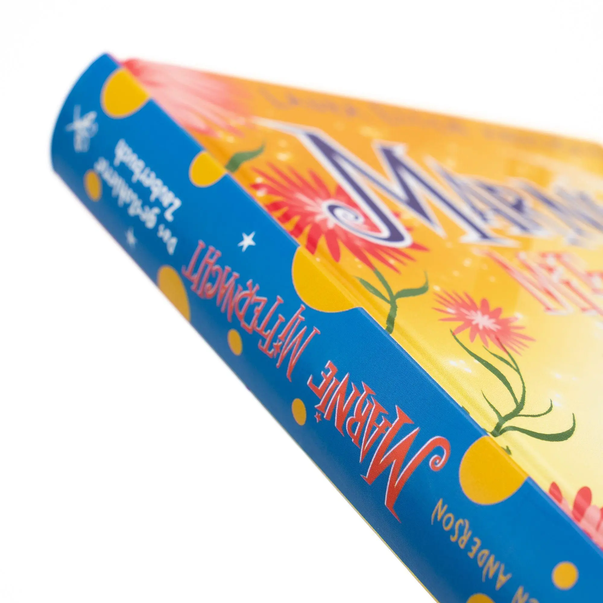Bild: 9783505153273 | Marnie Mitternacht. Das gestohlene Zauberbuch (Band 2) | Anderson