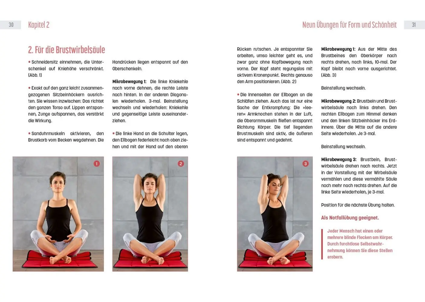 Bild: 9783517103273 | Powertraining mit Tigerfeeling | Benita Cantieni | Buch | 160 S.