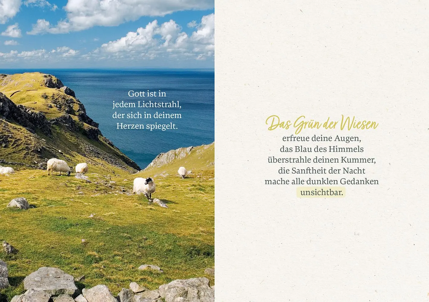 Bild: 9783765533273 | Gott segne den Weg, auf dem du gehst | Susanne Baum | Broschüre | 2025