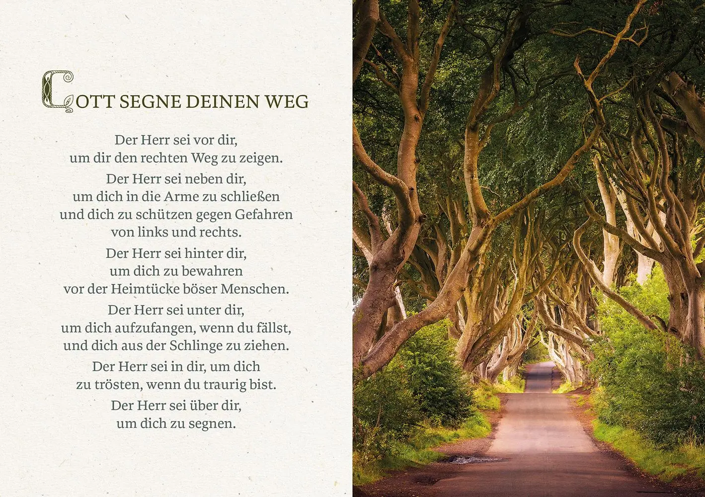 Bild: 9783765533273 | Gott segne den Weg, auf dem du gehst | Susanne Baum | Broschüre | 2025