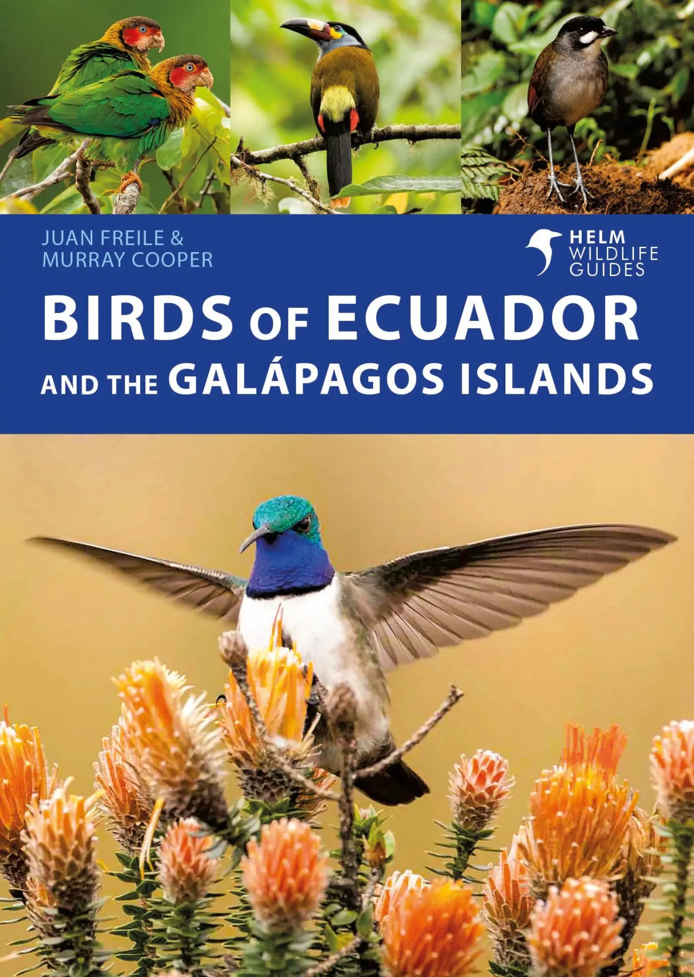 Cover: 9781472993373 | Birds of Ecuador and the Galápagos Islands | Juan Freile (u. a.)