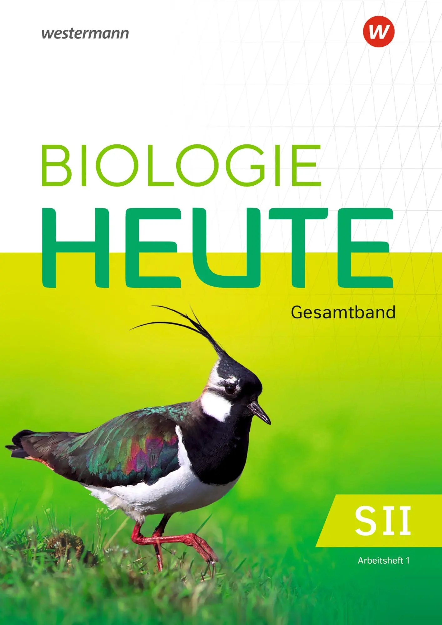 Cover: 9783141343373 | Biologie heute SII 1. Arbeitsheft. Für die östlichen Bundesländer