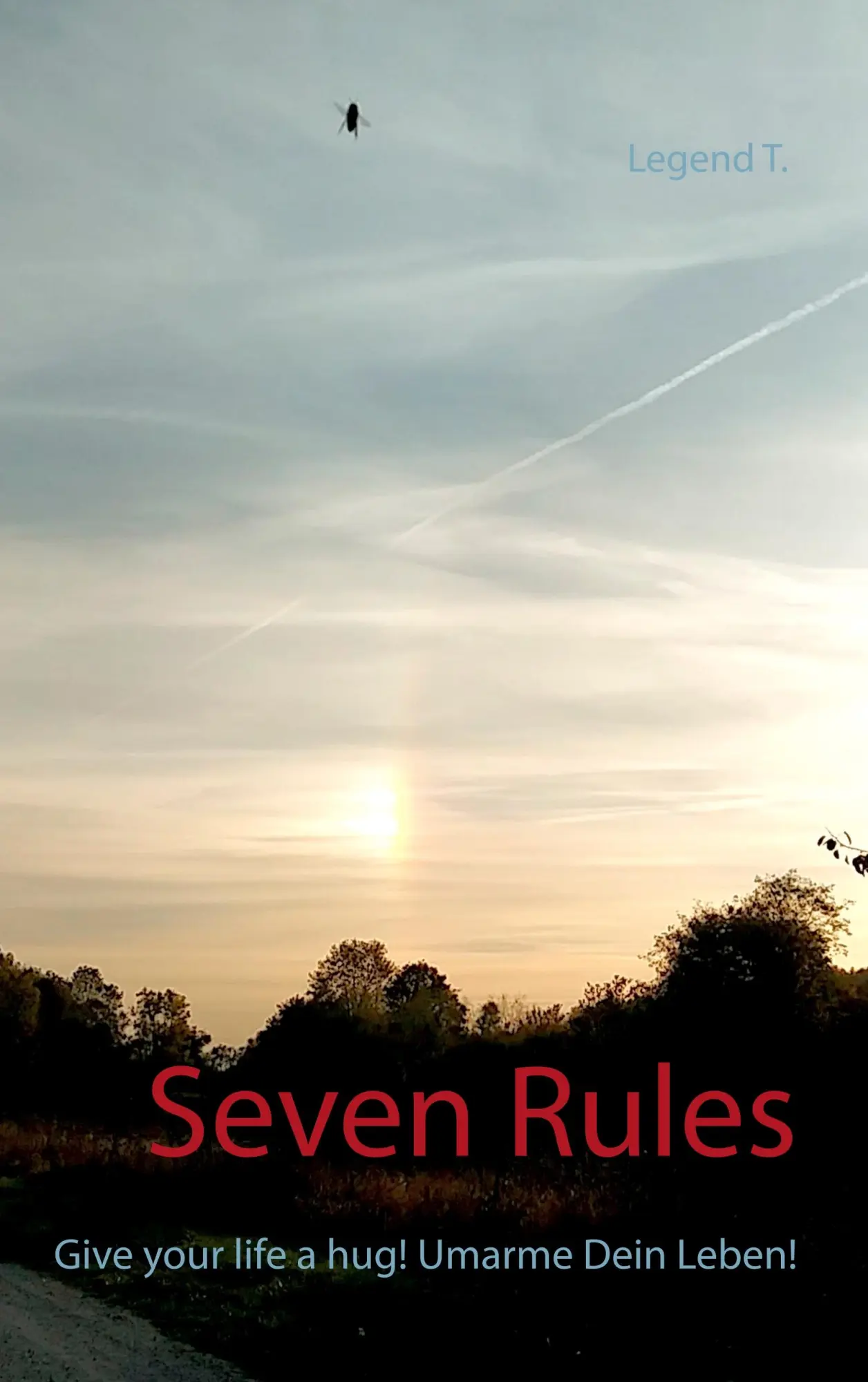 Cover: 9783748173373 | Seven Rules | Give your life a hug! Umarme Dein Leben! | Legend T.