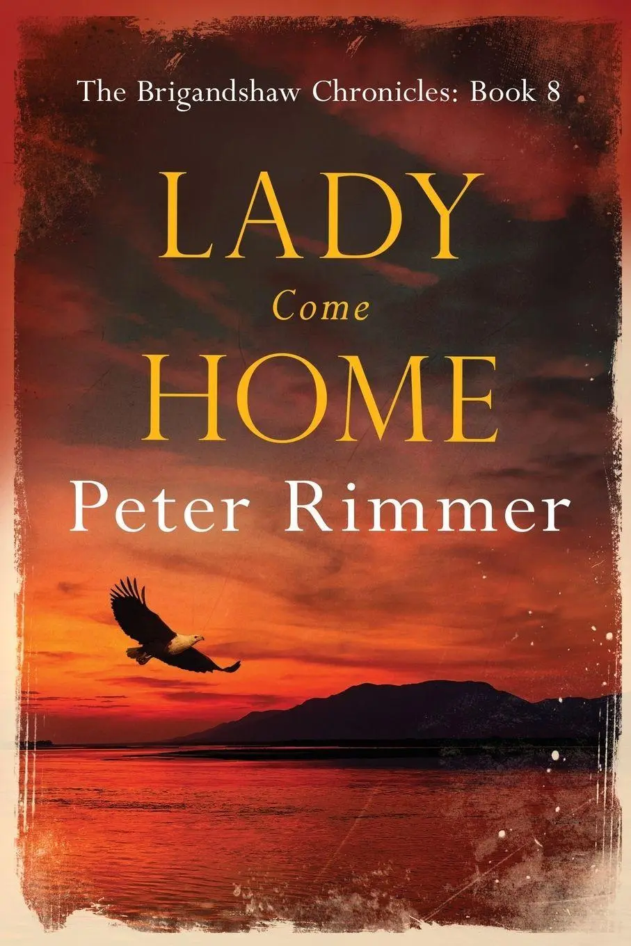 Cover: 9781916353473 | Lady Come Home | Peter Rimmer | Taschenbuch | Kartoniert / Broschiert