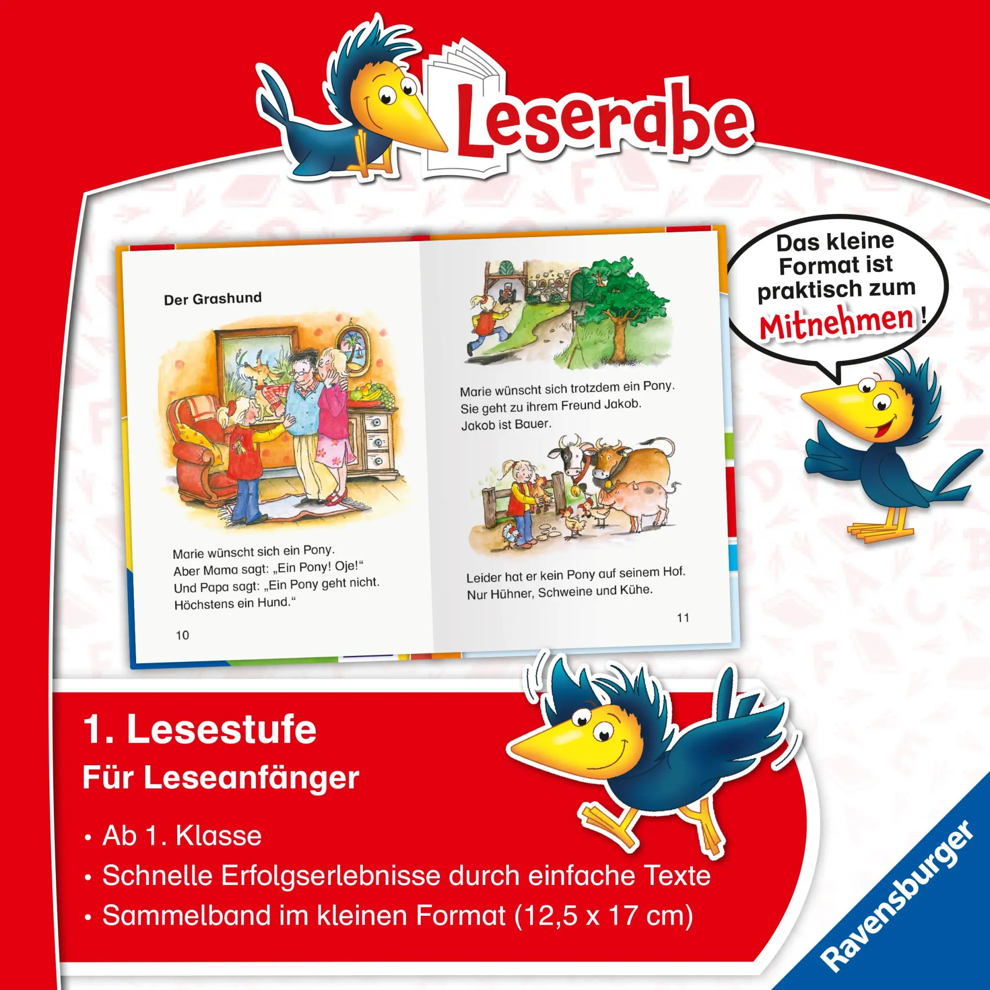 Bild: 9783473463473 | Leserabe Sonderausgaben - Erstlesegeschichten - Ponys und Pferde