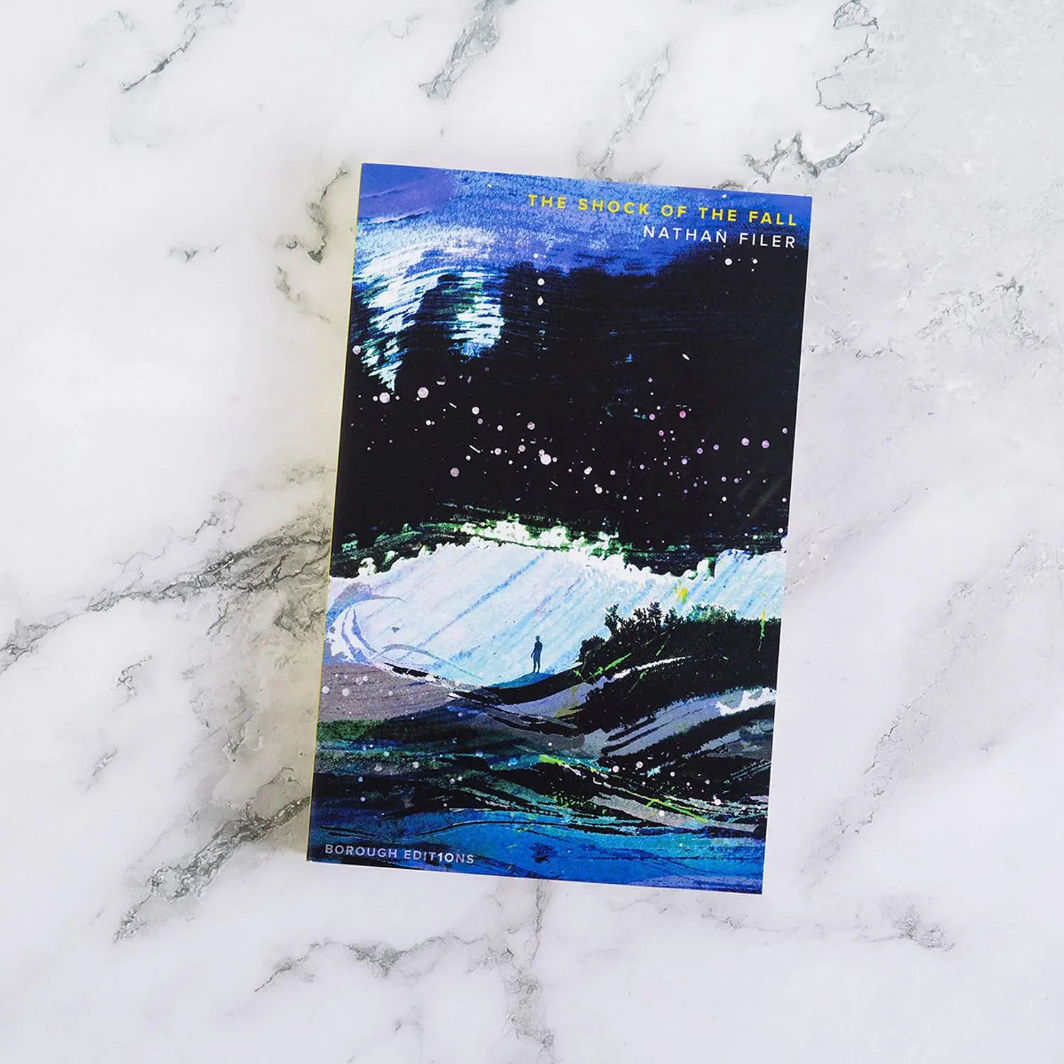 Bild: 9780008683573 | The Shock of the Fall | Nathan Filer | Taschenbuch | X | Englisch