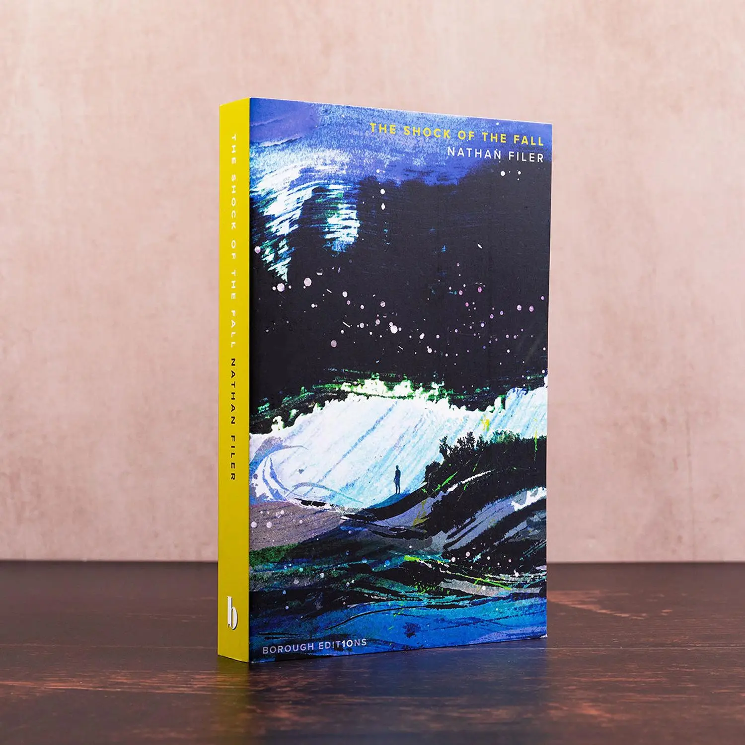 Bild: 9780008683573 | The Shock of the Fall | Nathan Filer | Taschenbuch | X | Englisch