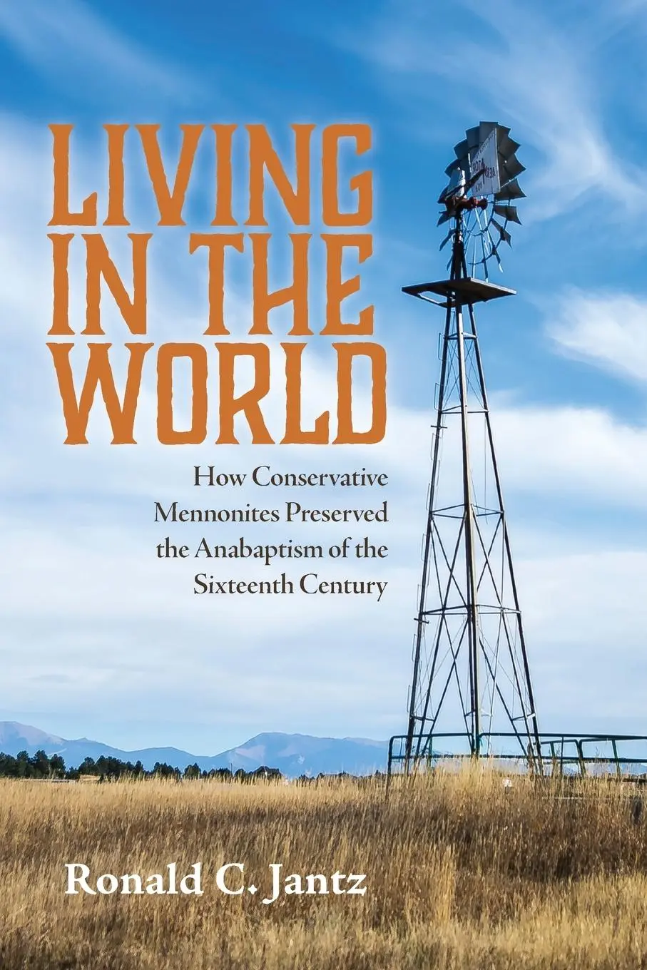 Cover: 9781725273573 | Living in the World | Ronald C. Jantz | Taschenbuch | Englisch | 2020