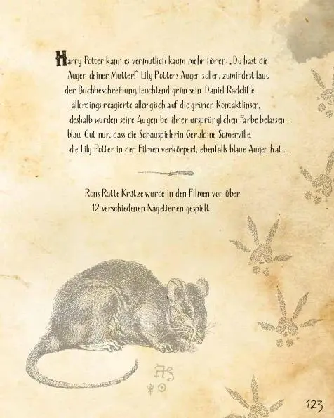 Bild: 9783966643573 | Insiderwissen für Harry Potter Fans | Tom Grimm | Taschenbuch | 128 S.