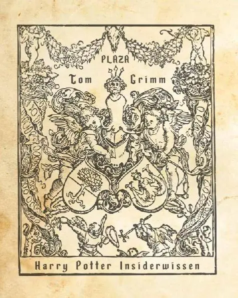Bild: 9783966643573 | Insiderwissen für Harry Potter Fans | Tom Grimm | Taschenbuch | 128 S.