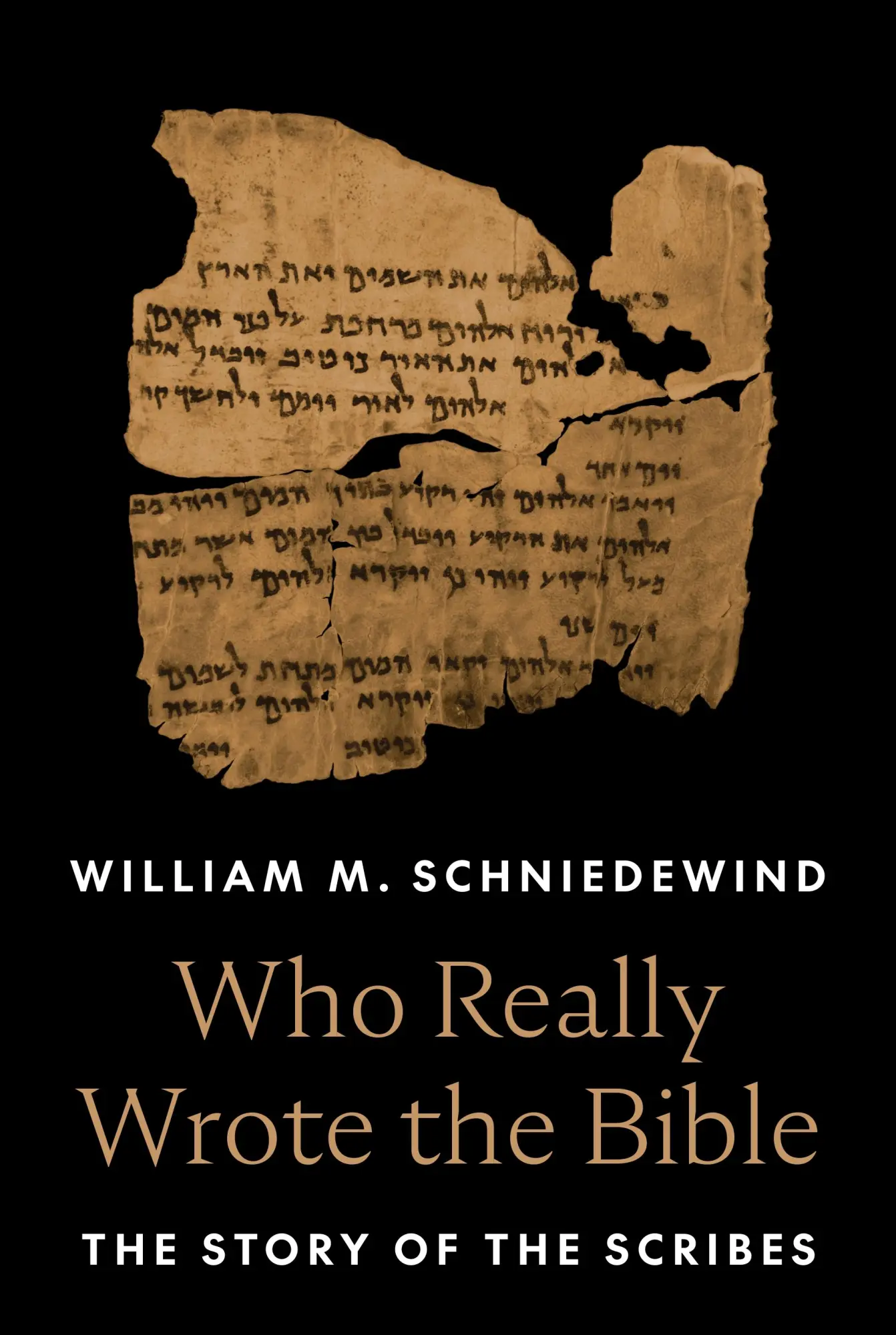 Cover: 9780691233673 | Who Really Wrote the Bible | The Story of the Scribes | Schniedewind